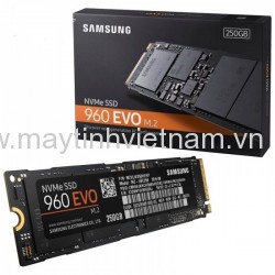 Ổ SSD Samsung 960 Evo 250Gb PCIe 3.0 x4, NVMe 1.2 M2.2280 (đọc: 3200MB/s /ghi: 1500MB/s)