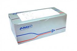 Hộp đầu mạng RJ45 AMP (Hàng chính hãng)